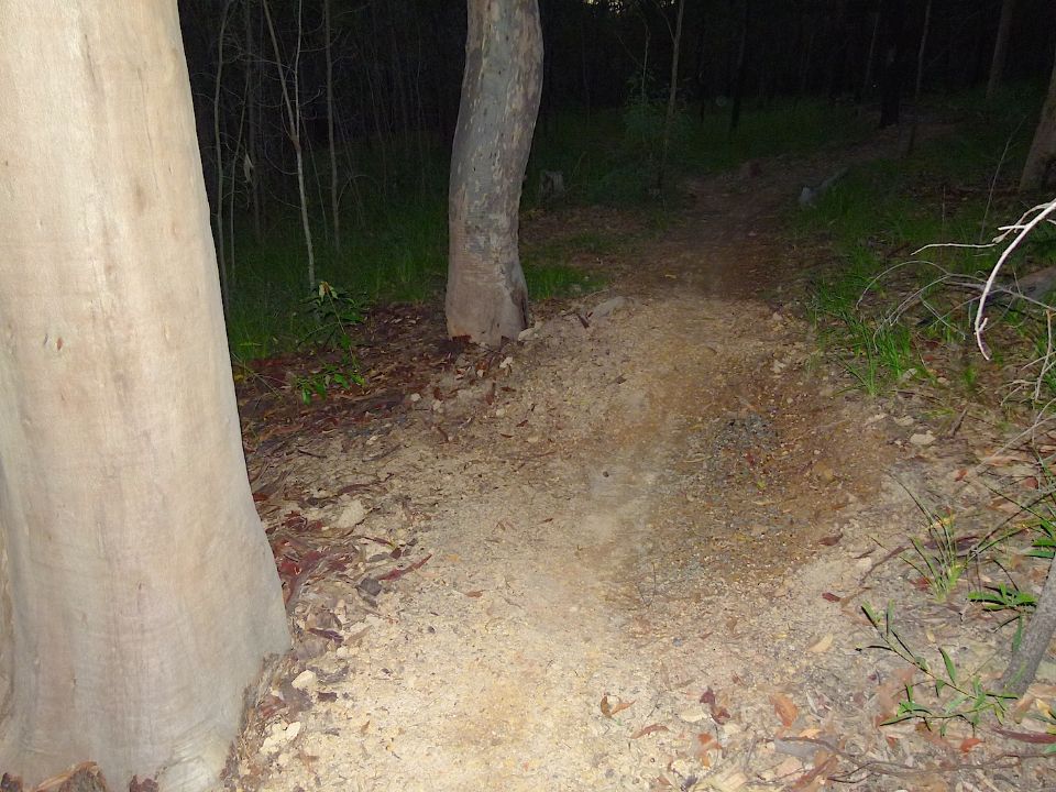 P1160371.jpg